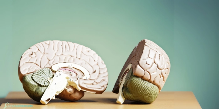 Psicología positiva aplicada al día a día